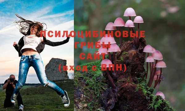 прущая мука Алексин